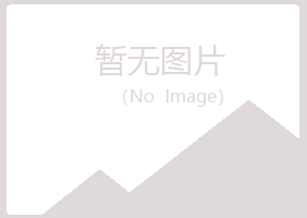 布拖县白山化学有限公司